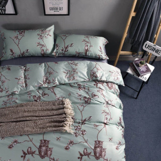 Постільна білизна з єгипетської бавовни із совочками