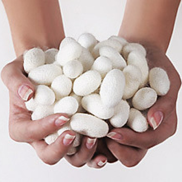 Шовкова ковдра Le Vele Silk Double Quilt 155-215*2 см Шовкова ковдра Le Vele Silk Double Quilt 155-215*2 см