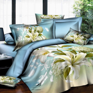 Постільна білизна 3D євророзміру ніжно-блакитна