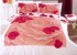 Комплект постільної білизни Le Vele Valentine Полуторний (160x220см)