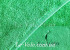 Полотенце махровое Le Vele 100x150см Green