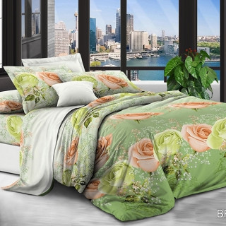 Комплект постельного белья BR-7039