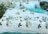 Комплект постельного белья с компаньоном R-T9143