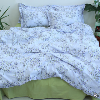 Комплект постельного белья с компаньоном R-T9251