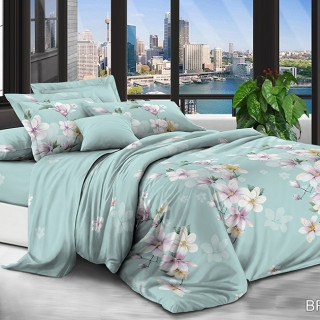 Комплект постельного белья BR-4109