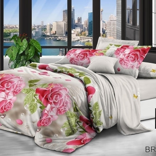 Комплект постельного белья BR6536