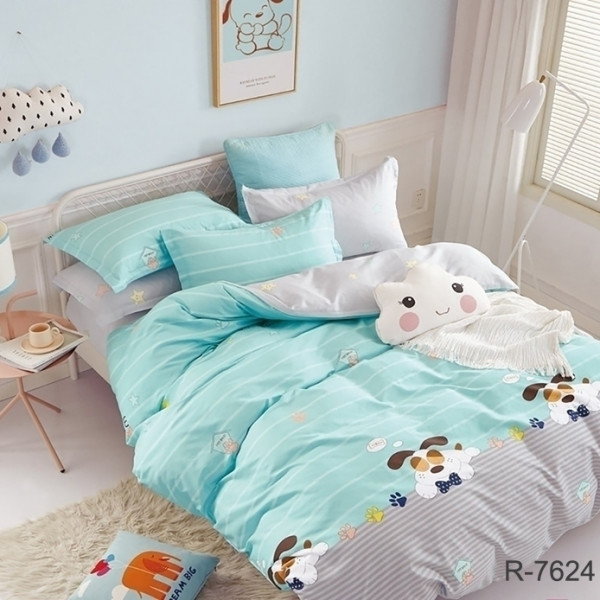 Комплект постельного белья с компаньоном R7624 frozi