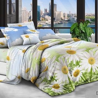 Комплект постельного белья BR-179