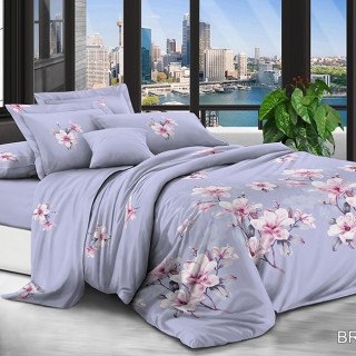 Комплект постельного белья BR-4112