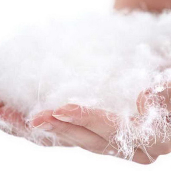 Ковдра "Eco-Перо" 2-сп. + 2 подушки 50х70