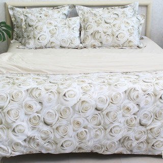 Комплект постільної білизни з компаньйоном (євро) PT-001