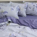 Комплект постільної білизни з компаньйоном S534