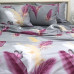 Комплект постільної білизни з компаньйоном S553