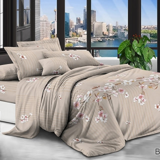 Комплект постельного белья BR-256