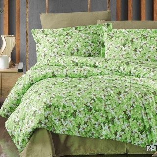 Комплект постельного белья с компаньоном R-T9236