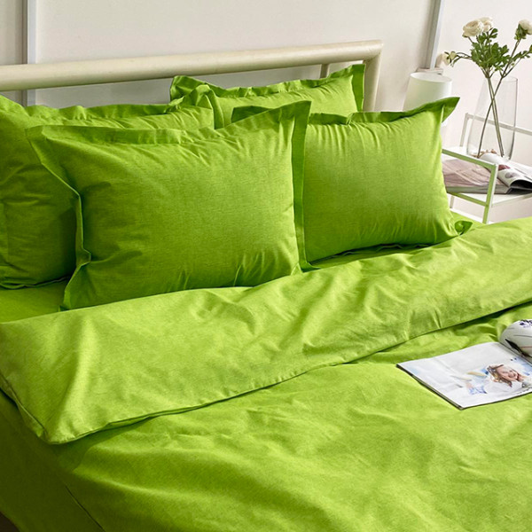 Комплект постельного белья R-T9282