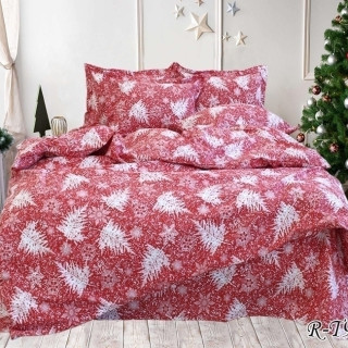 Комплект постельного белья R-T9129