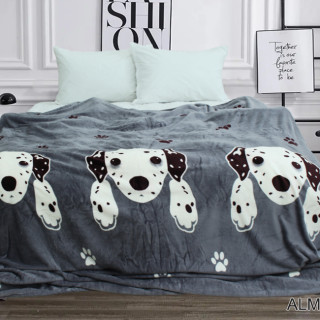 Плед велсофт (мікрофібра) ALM1901