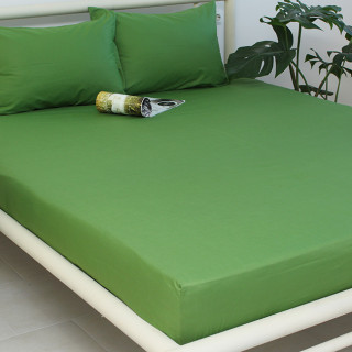 Простирадло на гумці (180х200х20) Cactus