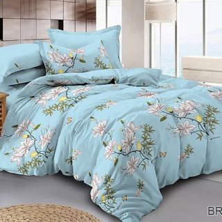 Комплект постельного белья BR-5552