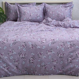 Комплект постільної білизни з компаньйоном (1,5-сп.) PT-011