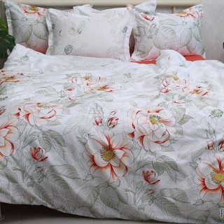 Комплект постельного белья с компаньоном (семейный) PT-017