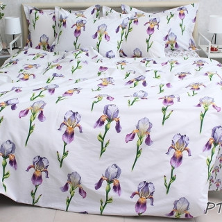 Комплект постельного белья с компаньоном PT-R03