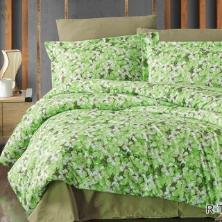 Комплект постельного белья с компаньоном R-T9236