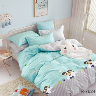 Комплект постельного белья с компаньоном R7624 frozi