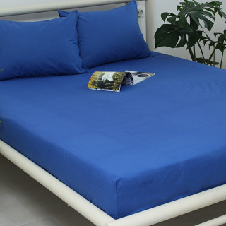 Простирадло на резинці + наволочки 160х200х20 Princess Blue