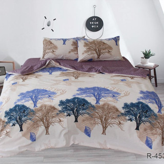 Комплект постельного белья с компаньоном R4534