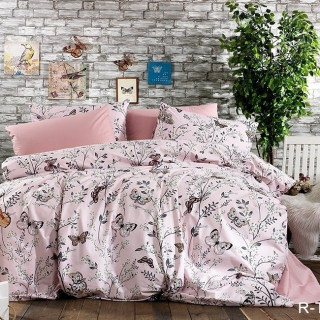Комплект постельного белья с компаньоном R-T9156