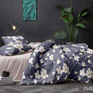 Комплект постельного белья с компаньоном R2243