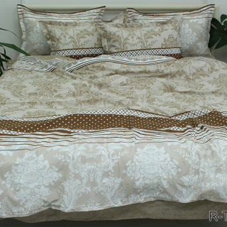 Комплект постельного белья с компаньоном R-T9139