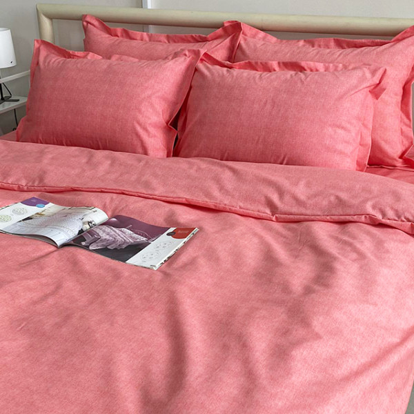 Комплект постельного белья R-T9284