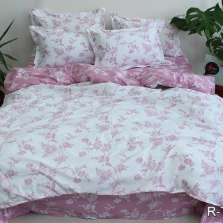 Комплект постельного белья с компаньоном R-T9254