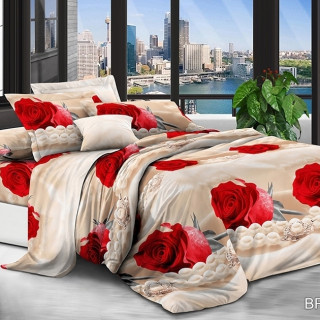 Комплект постельного белья BR-7036