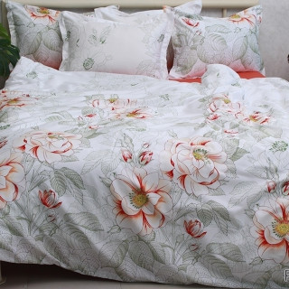 Комплект постільної білизни з компаньйоном (1,5-сп.) PT-017