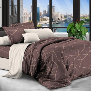 Комплект постельного белья с компаньоном R-101