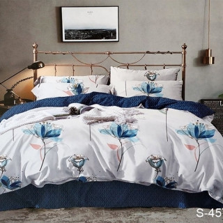 Комплект постельного белья с компаньоном S457
