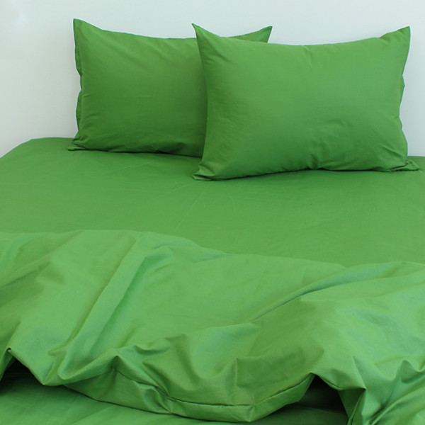 Комплект постельного белья евро Cactus