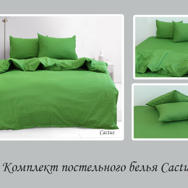 Комплект постельного белья евро Cactus